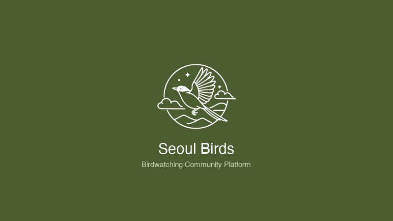 Seoul Birds